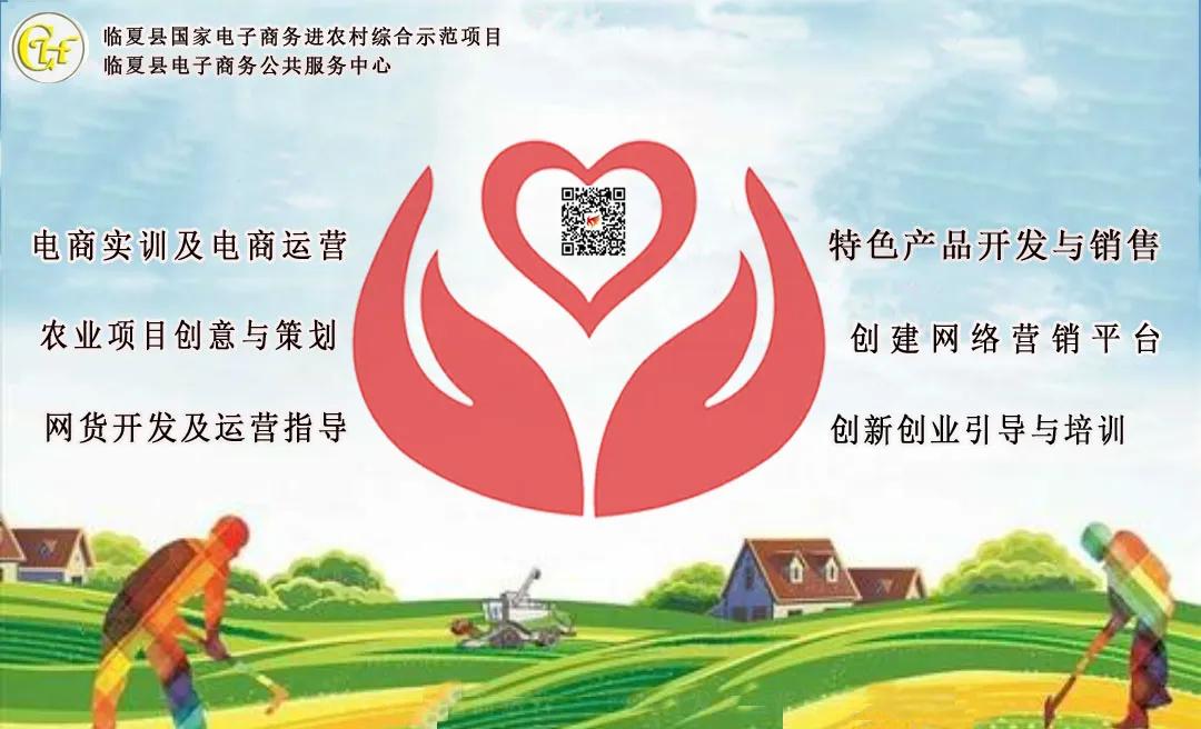 商务厅到我县调研电商发展,商务厅领导调研农村电商物流