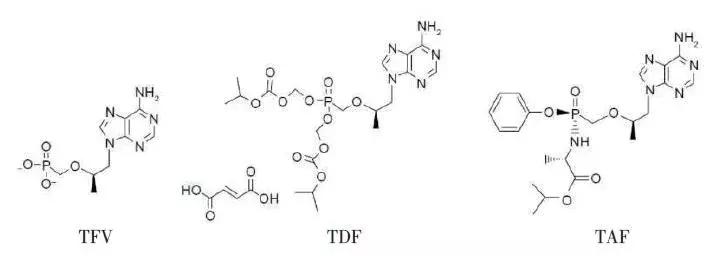 丙酚替诺福韦taf,丙酚替诺福韦乙肝转阴概率