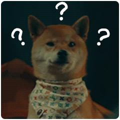 给不值钱的狗吃劣质狗粮,暴击正在撕咬的比特犬