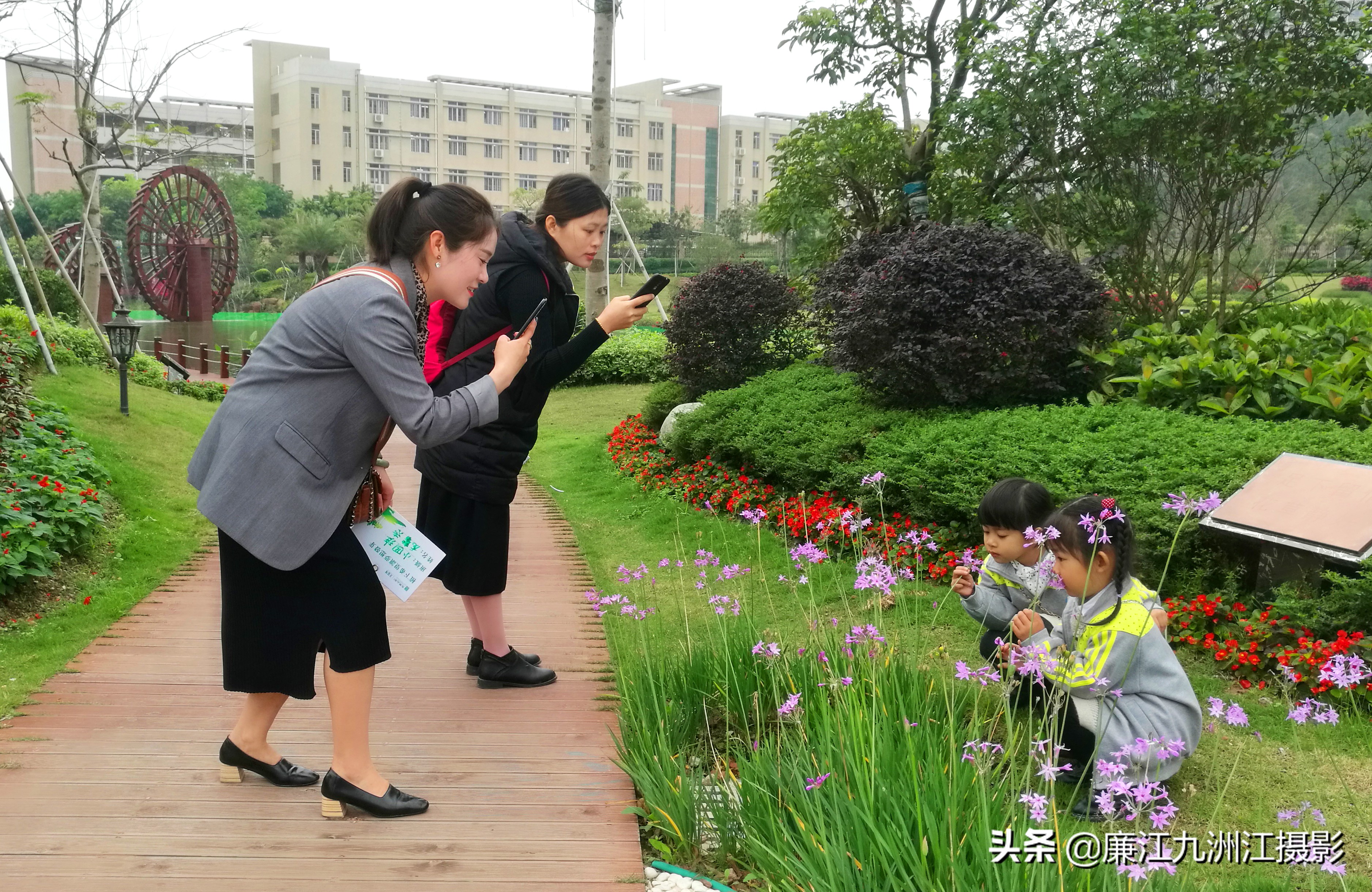 种下希望让梦想发芽舞蹈,种下希望让梦想发芽