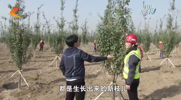 千年秀林最新,千年秀林