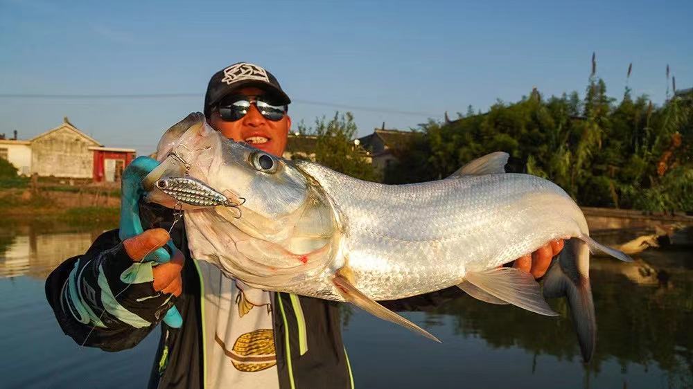 蓝旗鱼振动波路亚翘嘴,振动亮片钓翘嘴