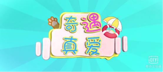 影视圈新媒体,新媒体电视剧