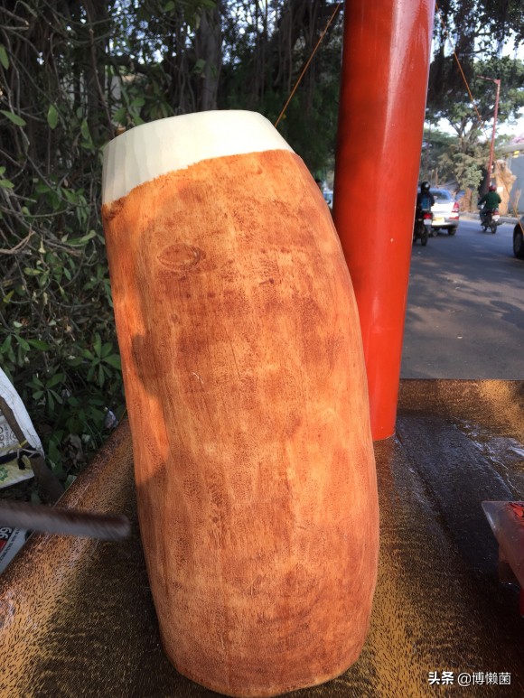 印度巨型根菜,印度根菜