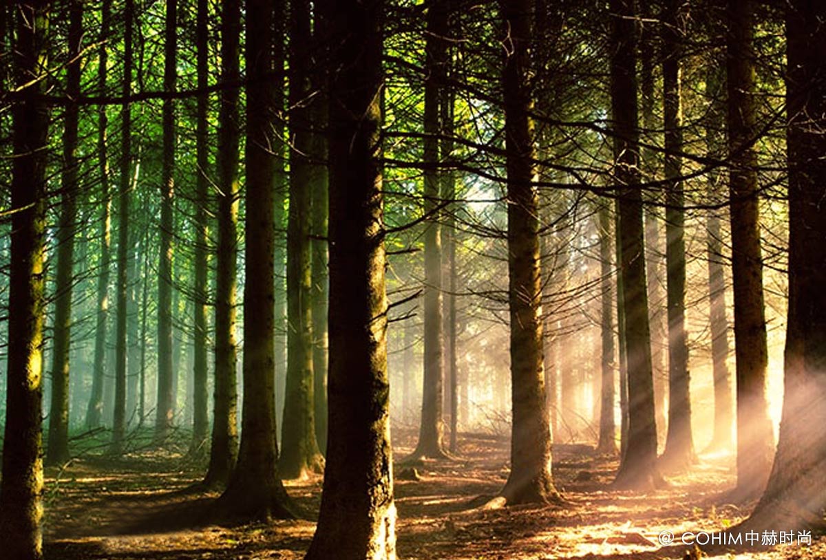 软装零基础培训,软装全案培训