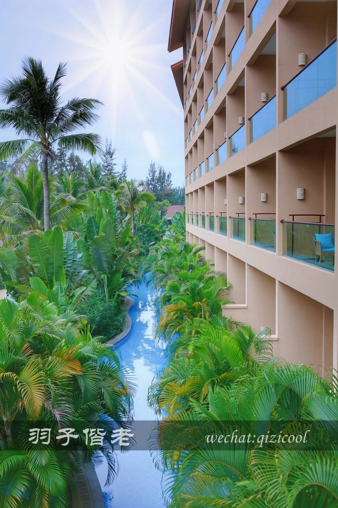 茂名最浪漫海岸在哪里,茂名浪漫海岸夕阳美如画