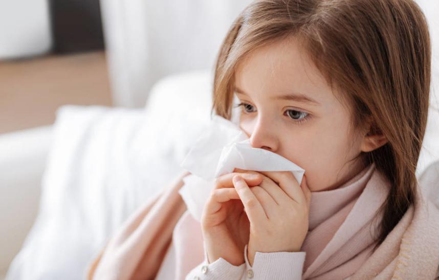 孩子被放鸽子家长怎么办,孩子养鸽子的原因