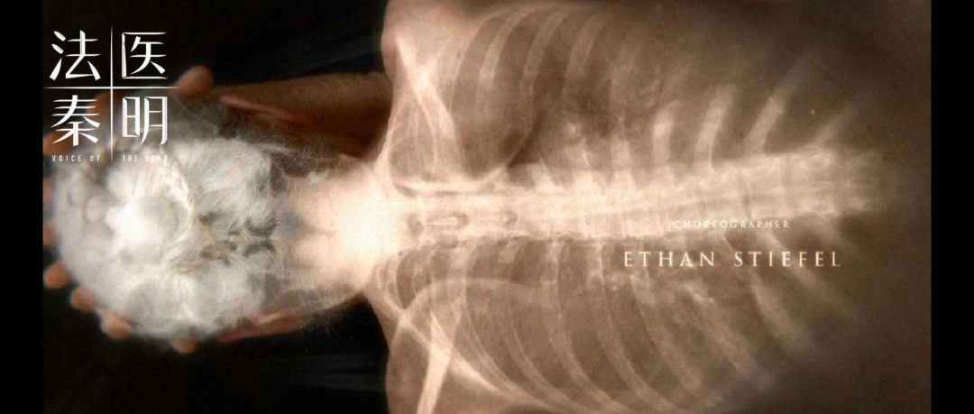 2019年影响力最高的十篇更新，最让你感到震撼的是哪一篇？