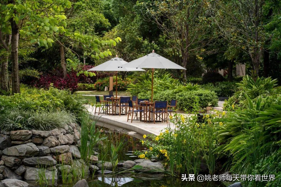 2月旅游灵感,旅游2月攻略最佳自由行