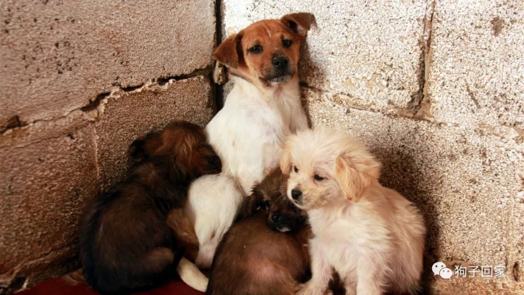 每一个生命都需要被尊重和善待,每一个生命都要被尊重被温暖