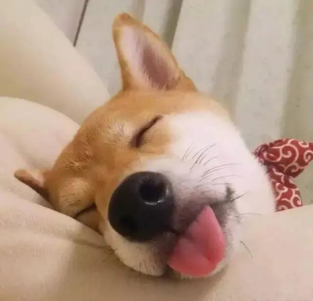 沙雕闺蜜头像四人一人一张,沙雕闺蜜头像新年款