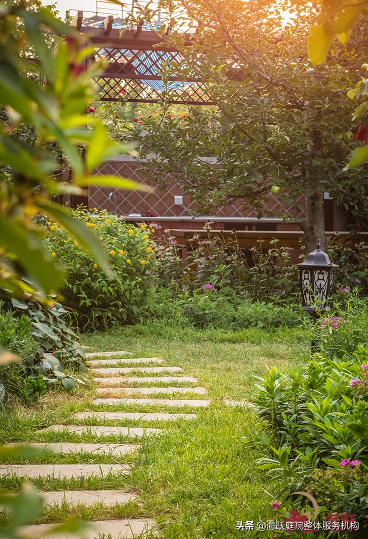 怎样建造自己的院子美观,庭院种植区该怎么设计