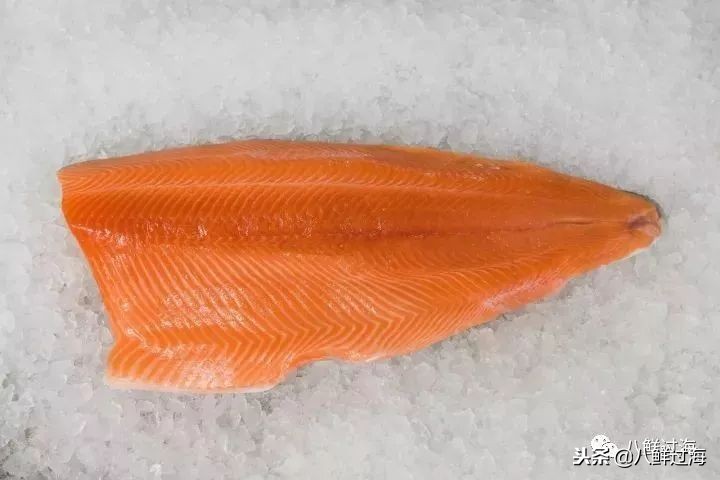 引入活青口贝、鲜帝王鲑,新西兰海产出口商的新生力量!