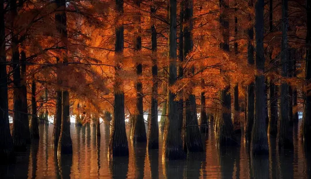 国内小众拍照胜地排名,文艺气息满溢的拍照圣地