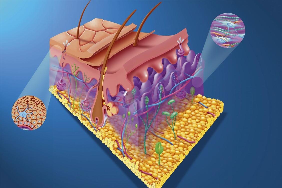 脚臭非常厉害用什么药物才能除根,脚臭用什么方法能抑制