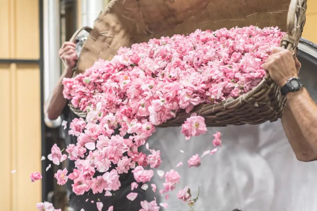 一篇文章带你了解法国香水