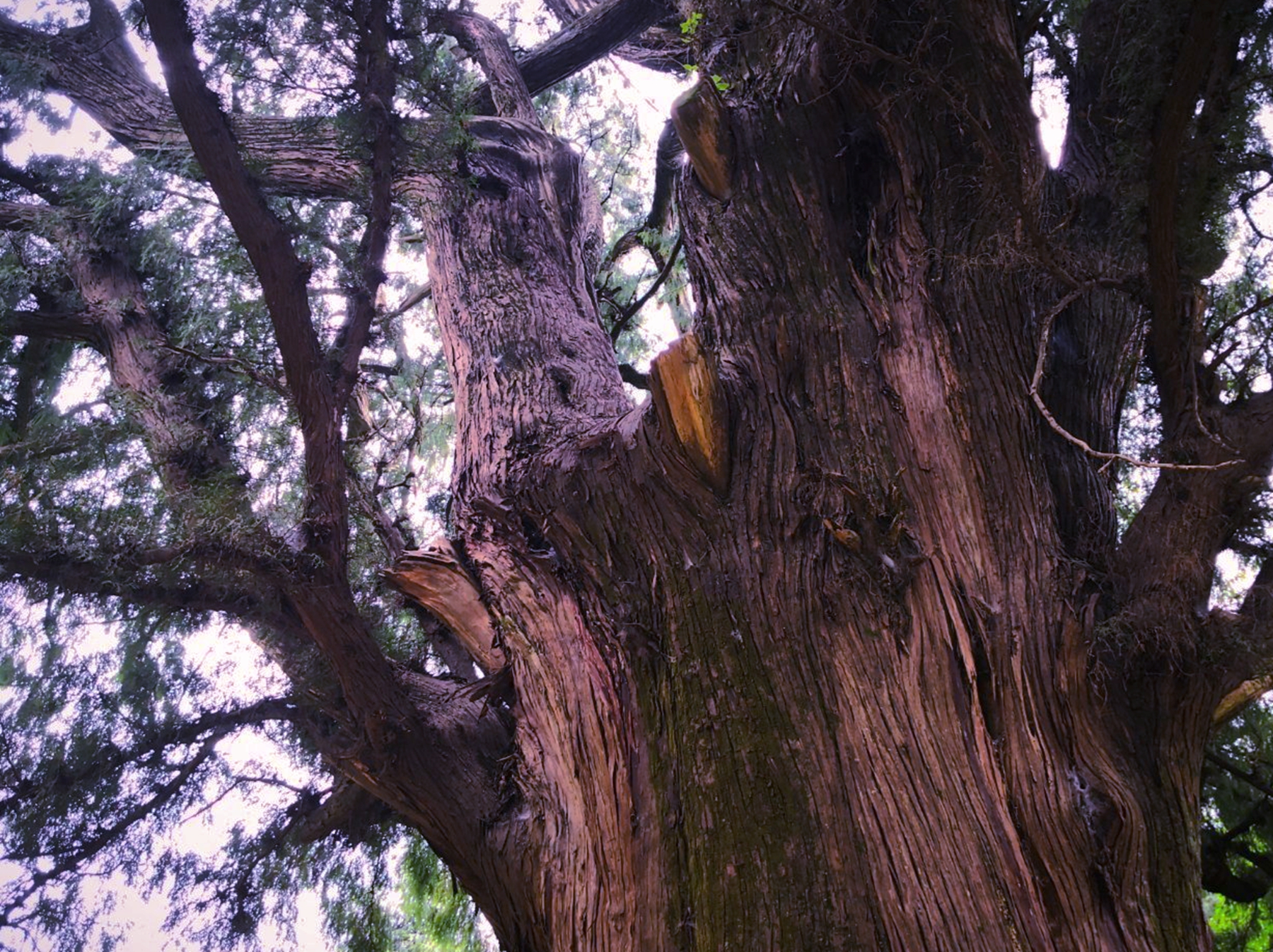 徒步峨眉山清音阁一线天风景,成都周边最美山峰徒步