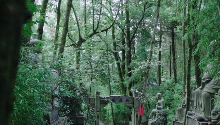 野生菌的毒是什么毒,野生菌属于毒品吗