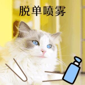 七夕送礼指南,七夕送礼好物攻略