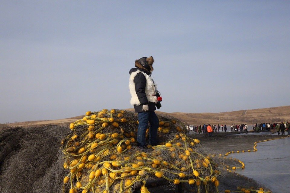 冰钓头鱼拍卖,冰湖捕鱼头鱼拍卖