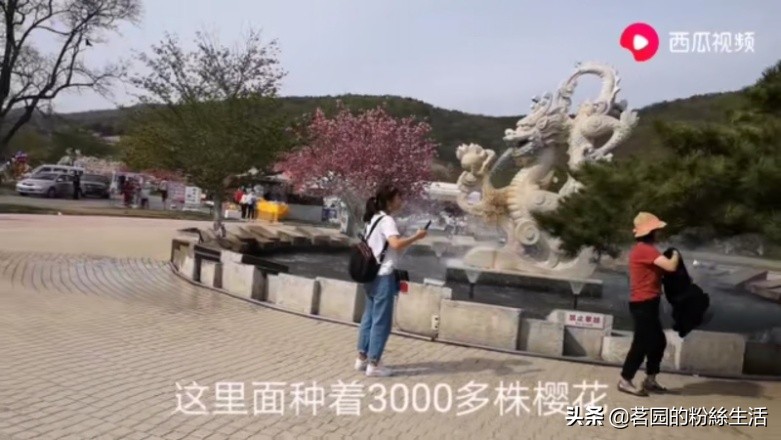 大连202路有轨电车星海公园,大连海事大学海景食堂