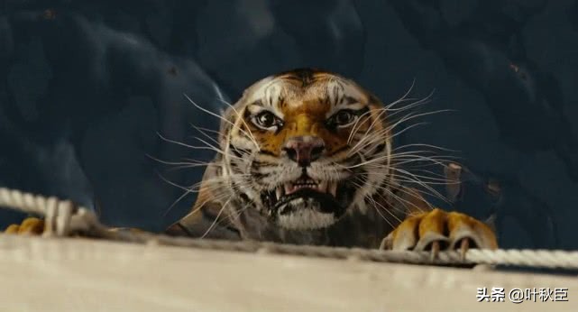 豆瓣评分九点多的电影剧推荐,豆瓣评分9以上电影推荐