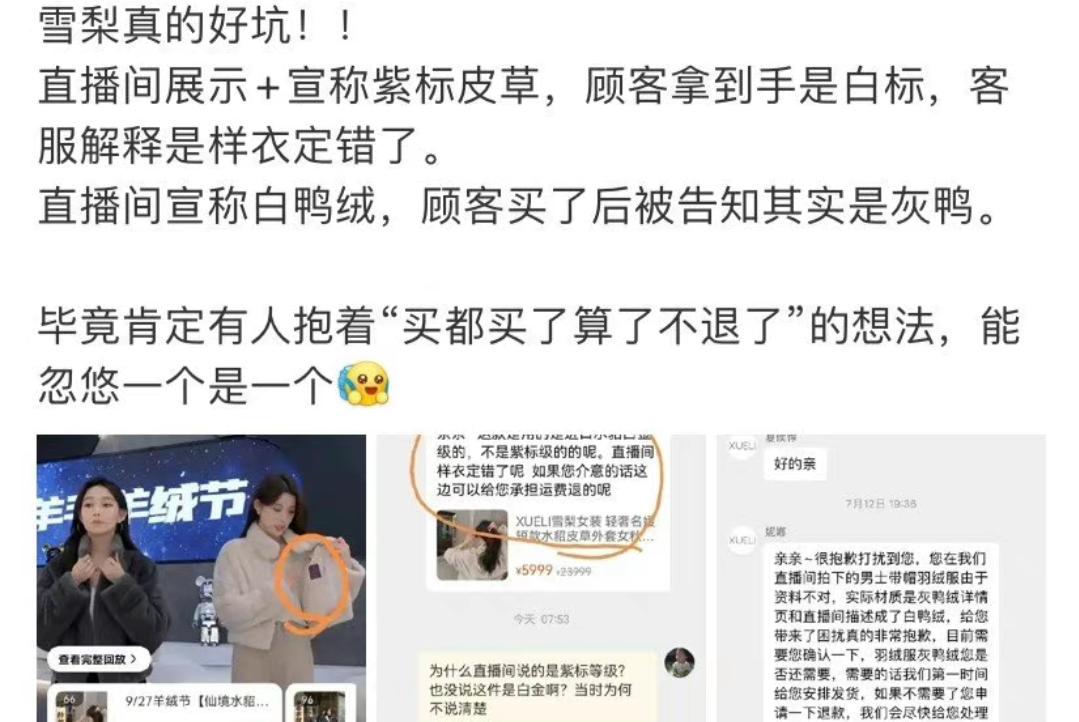 网络主播雪梨林珊珊偷逃税被罚,网络主播雪梨林珊珊偷逃税被处罚