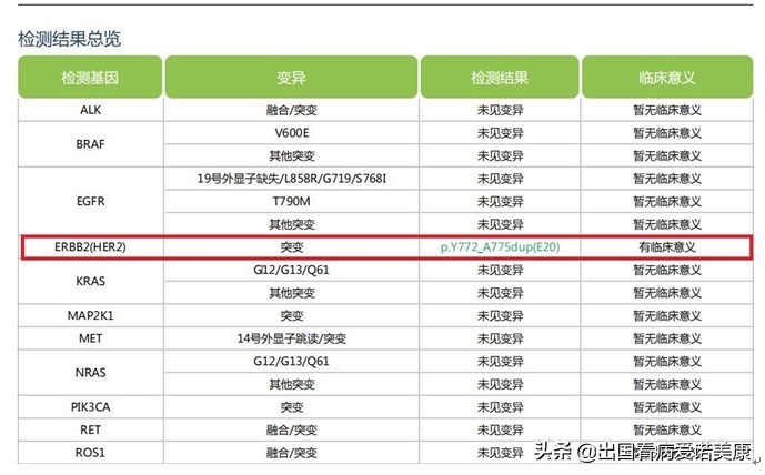 美国肺癌基因突变哪种最多,肺癌基因未突变吃什么药