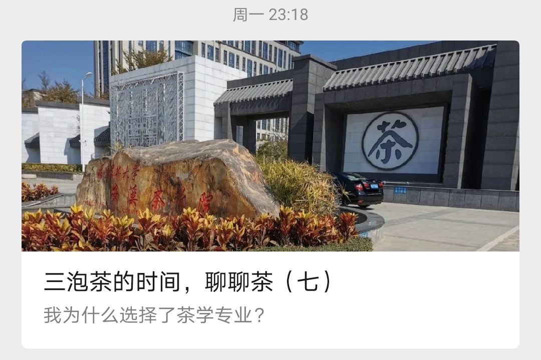 我眼中的专业与别人眼中的专业,我眼中的茶