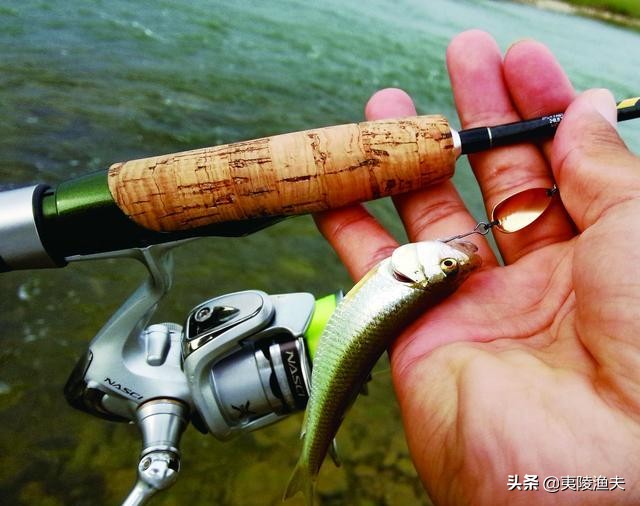 路亚钓马口的技巧和方法,怎样才能钓马口钓得多又快