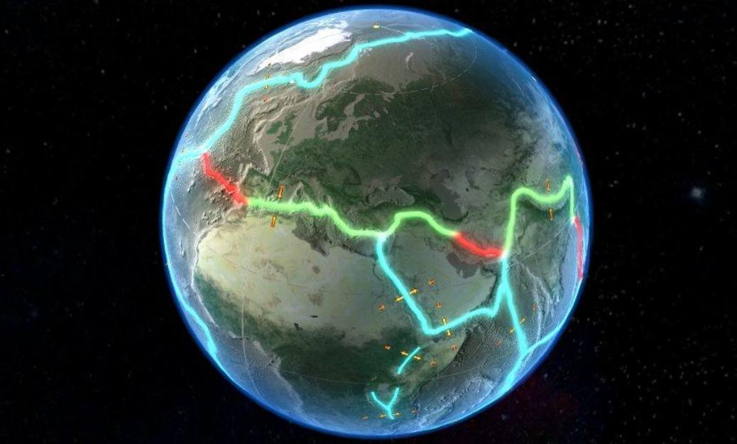 日本海滩惊现大量乌贼尸体,日本海岸线发现巨型乌贼