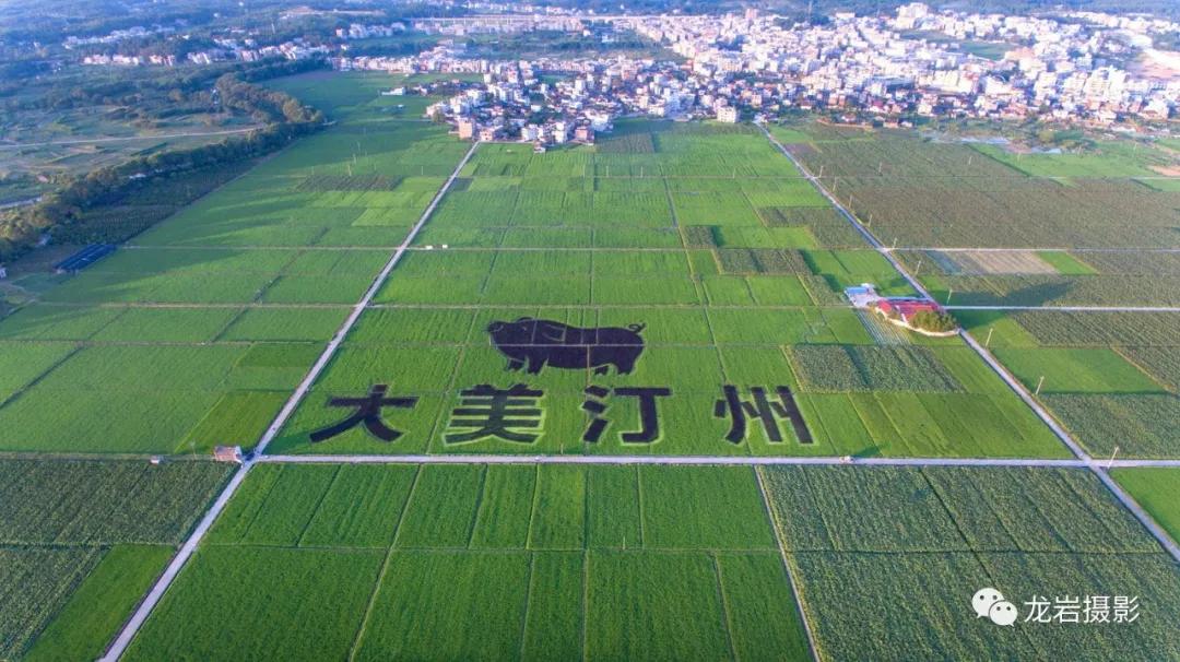 @龙岩人，让我们跟随无人机，一起飞跃闽西