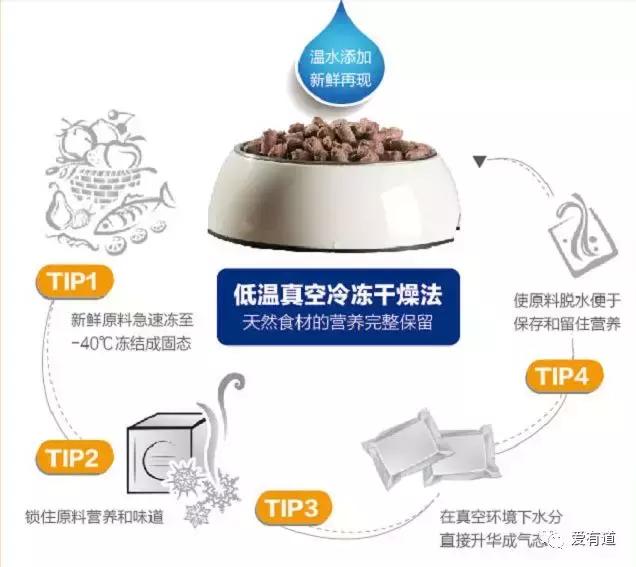 毛孩子偷吃东西被发现,毛孩子吃东西被发现了