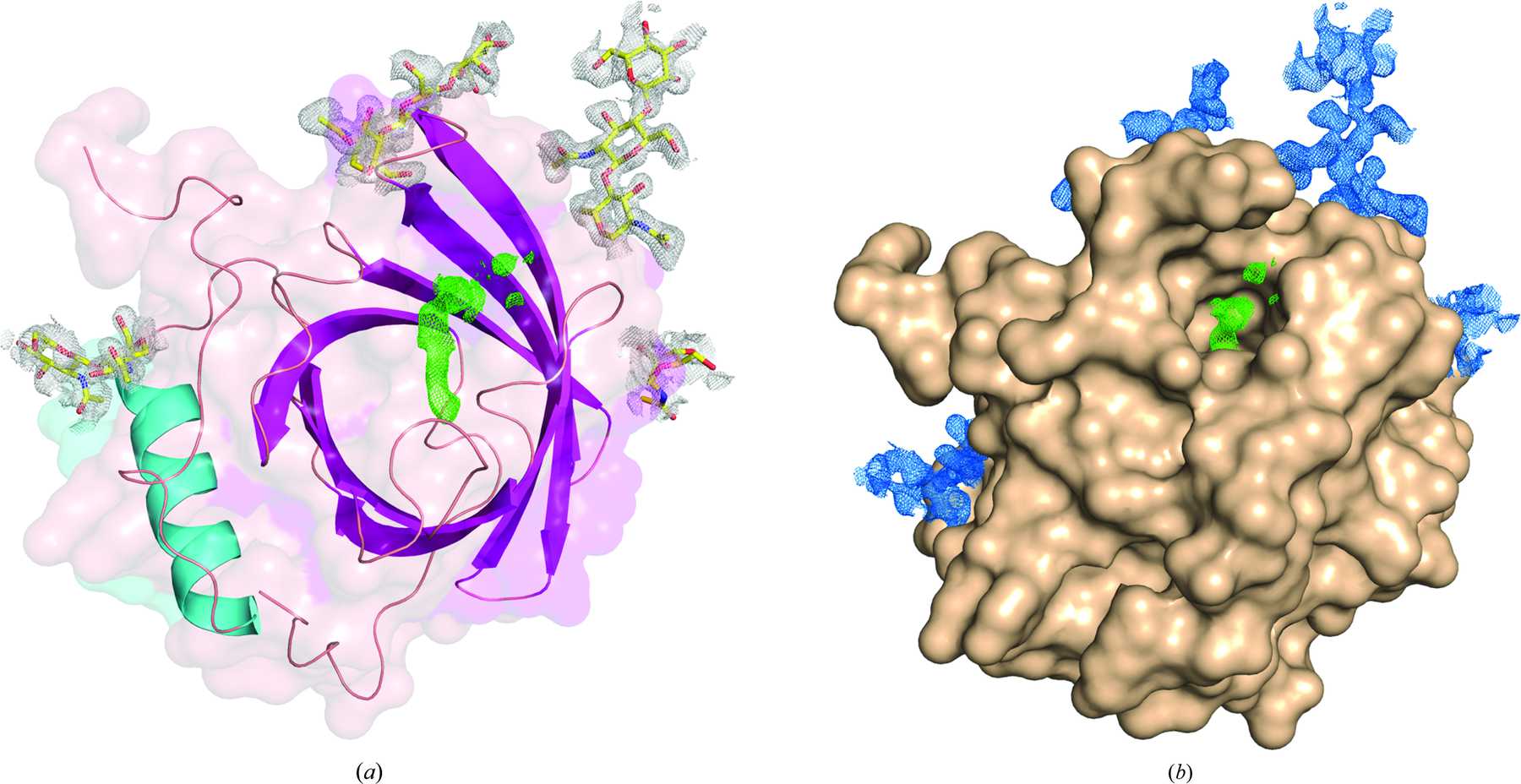 最顶级的食物竟然是蟑螂,蟑螂奶营养价值比牛奶高吗