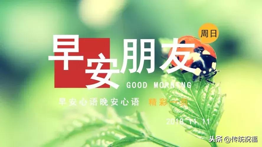 早安光棍节快乐,早安光棍节