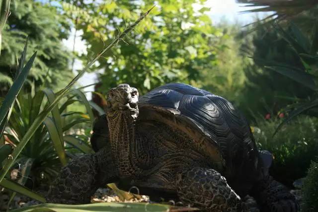 英国家庭花园建造,英国夫妇22年打造梦幻花园