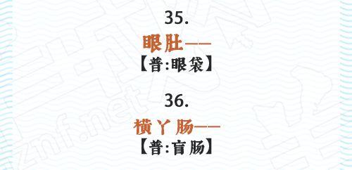 为什么没有人再教00、10后说这些粤语了？