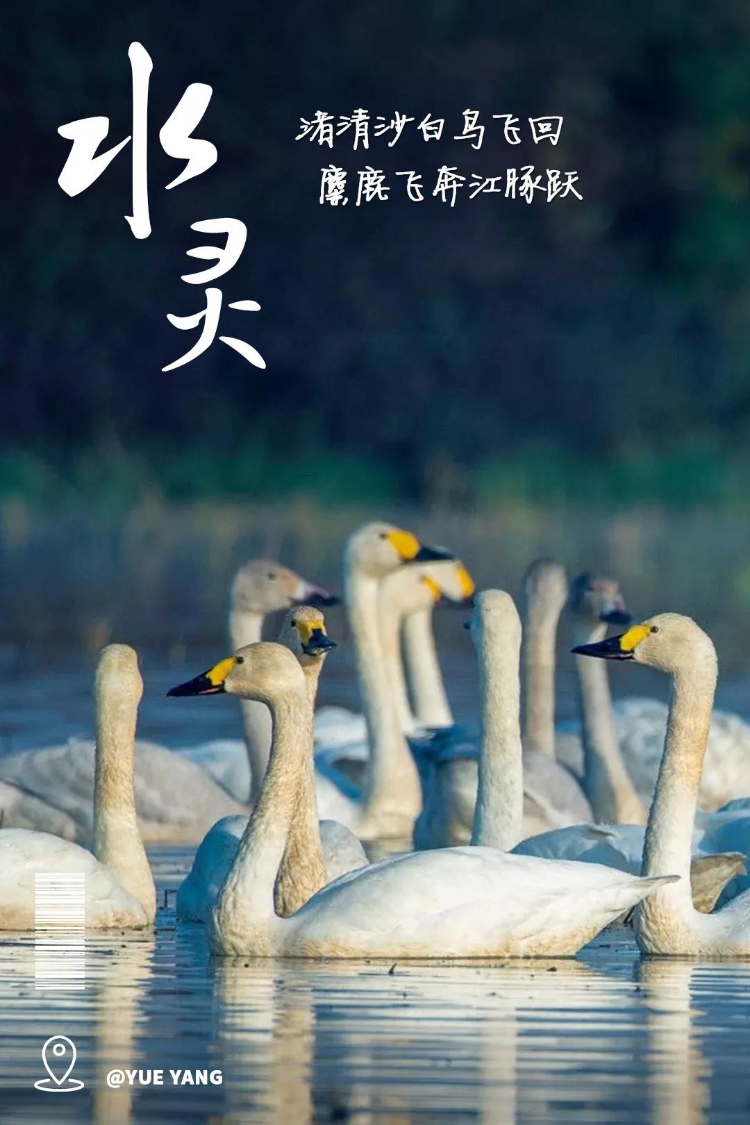 岳阳到底是怎样的,岳阳以后会变好吗