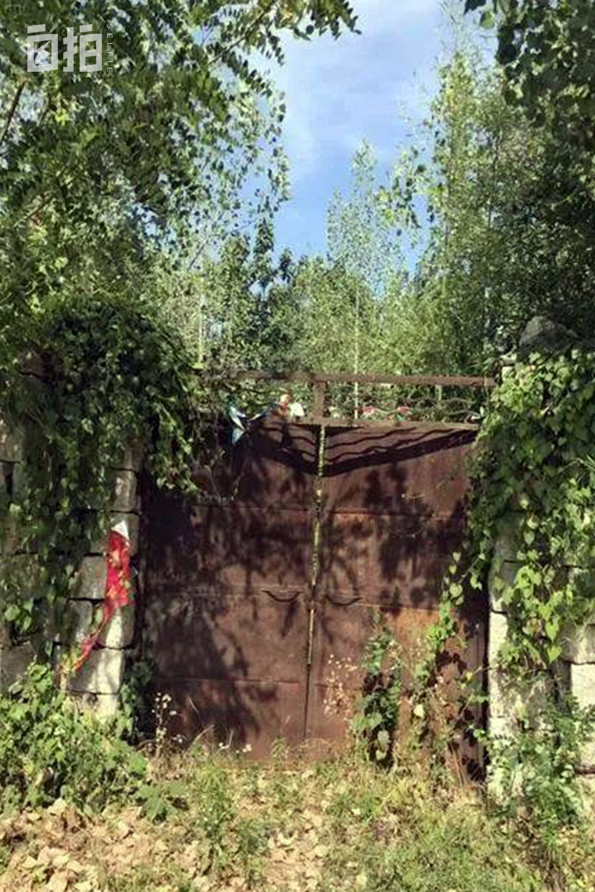 我14岁就辍学经历了多少苦,我14岁初中没读完就辍学