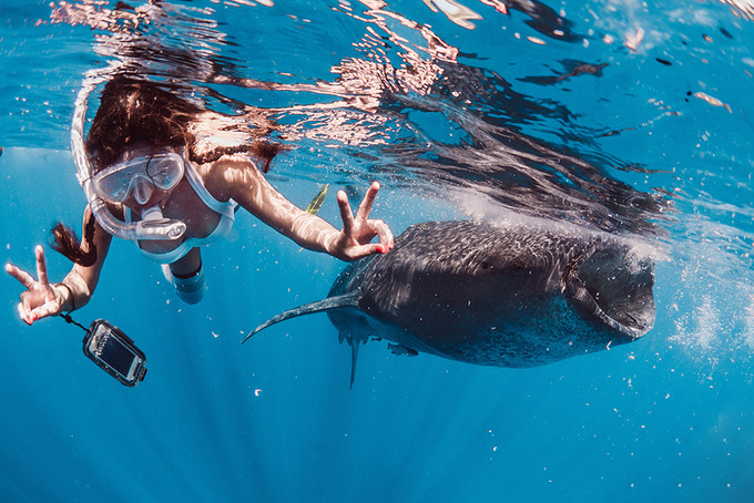 寻求平和宁静，这里就是梦想中的天堂——给你十个去宿务的理由