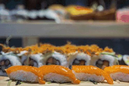 诺亚方舟旅游一日游,成都周边游诺亚方舟