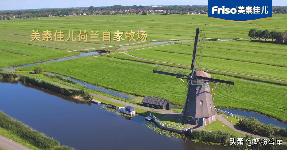 美素佳儿奶粉哪一款比较好,美素佳儿羊奶粉测评