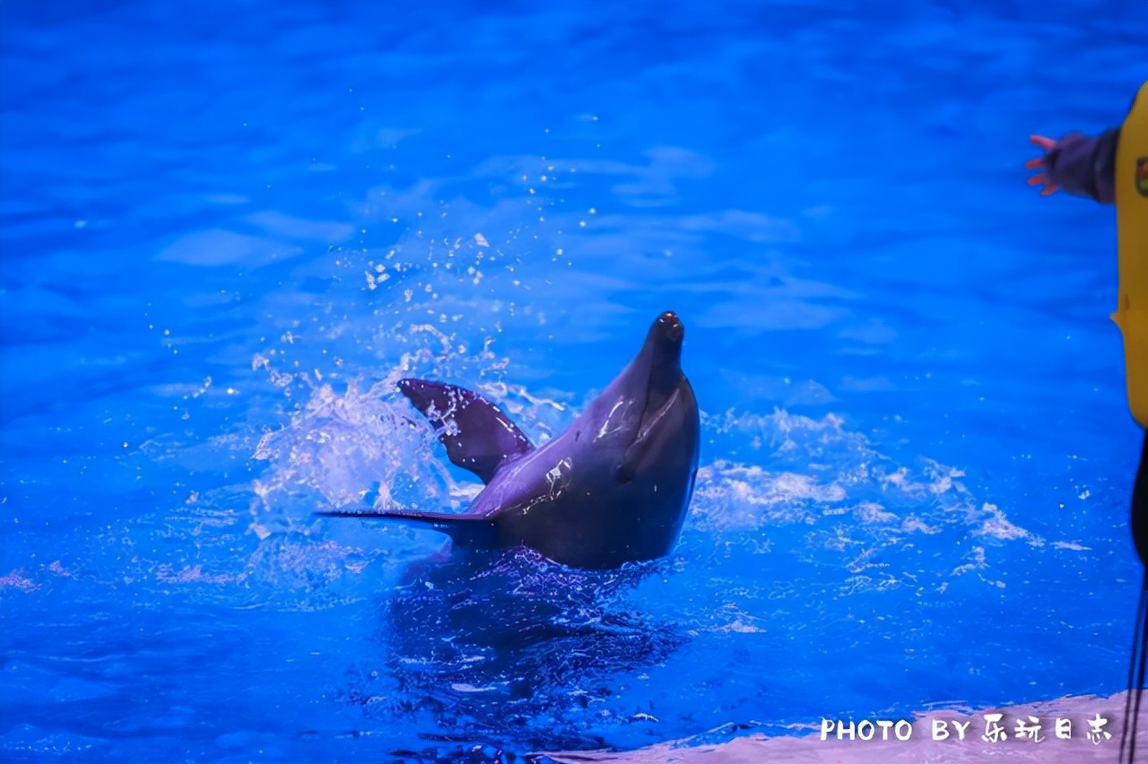 来珠海旅游必打卡的景点,春节珠海亲子游玩地方推荐