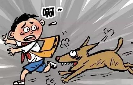 流浪狗把人咬了找谁赔偿,民法典规定被狗咬了一般赔多少钱