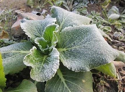 7种自然现象的物态变化,自然界中的物态变化总结