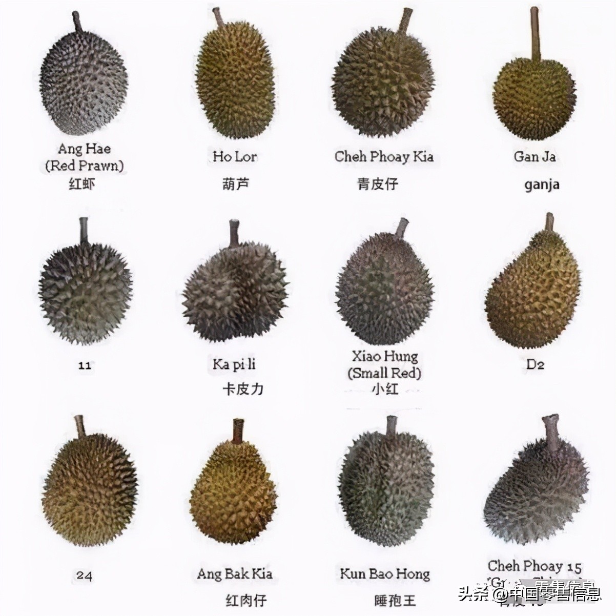 榴莲促销怎么陈列,榴莲营销方案100例