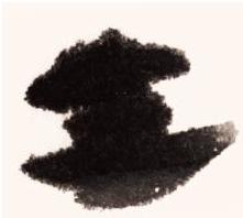 天牛写意画法步骤图,纯干货3分钟学画写意天牛和瓢虫