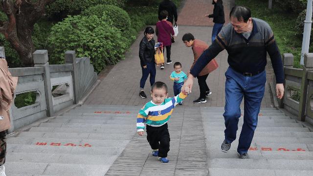 兴化千垛菊花海,广州海心沙菊花海