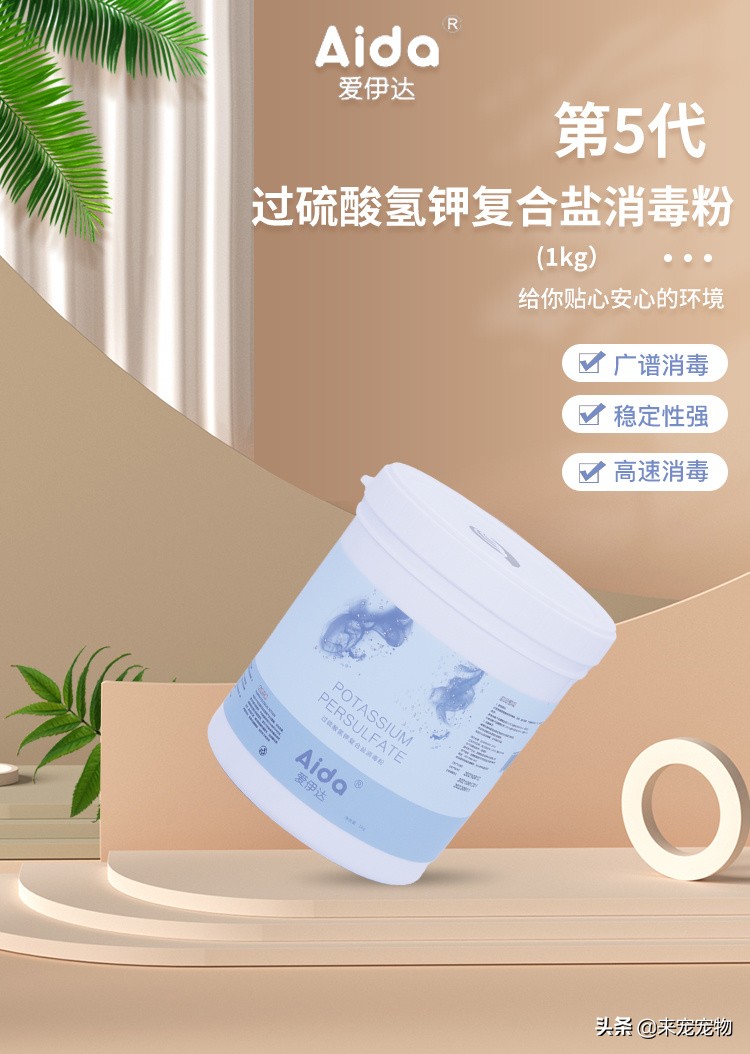 养狗狗可能会感染哪些病菌,养宠物容易得什么细菌感染的