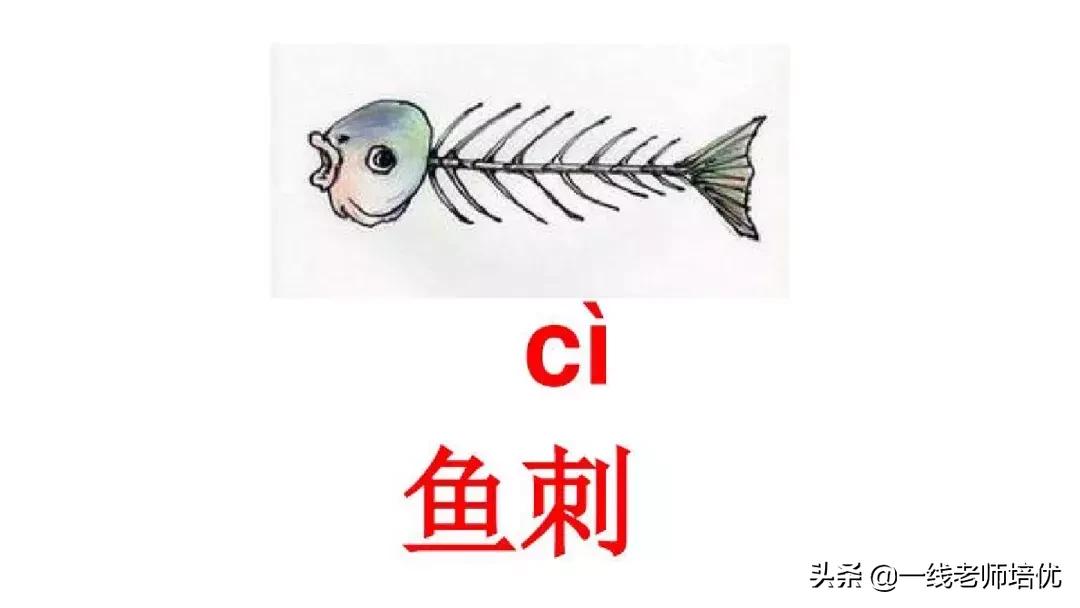 小学汉语拼音整体认读音节,小学汉语拼音整体认读音节视频